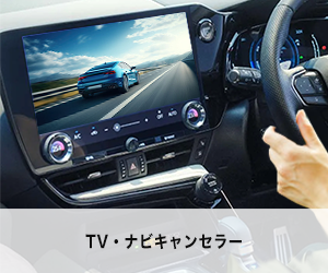TV・ナビキャンセラー